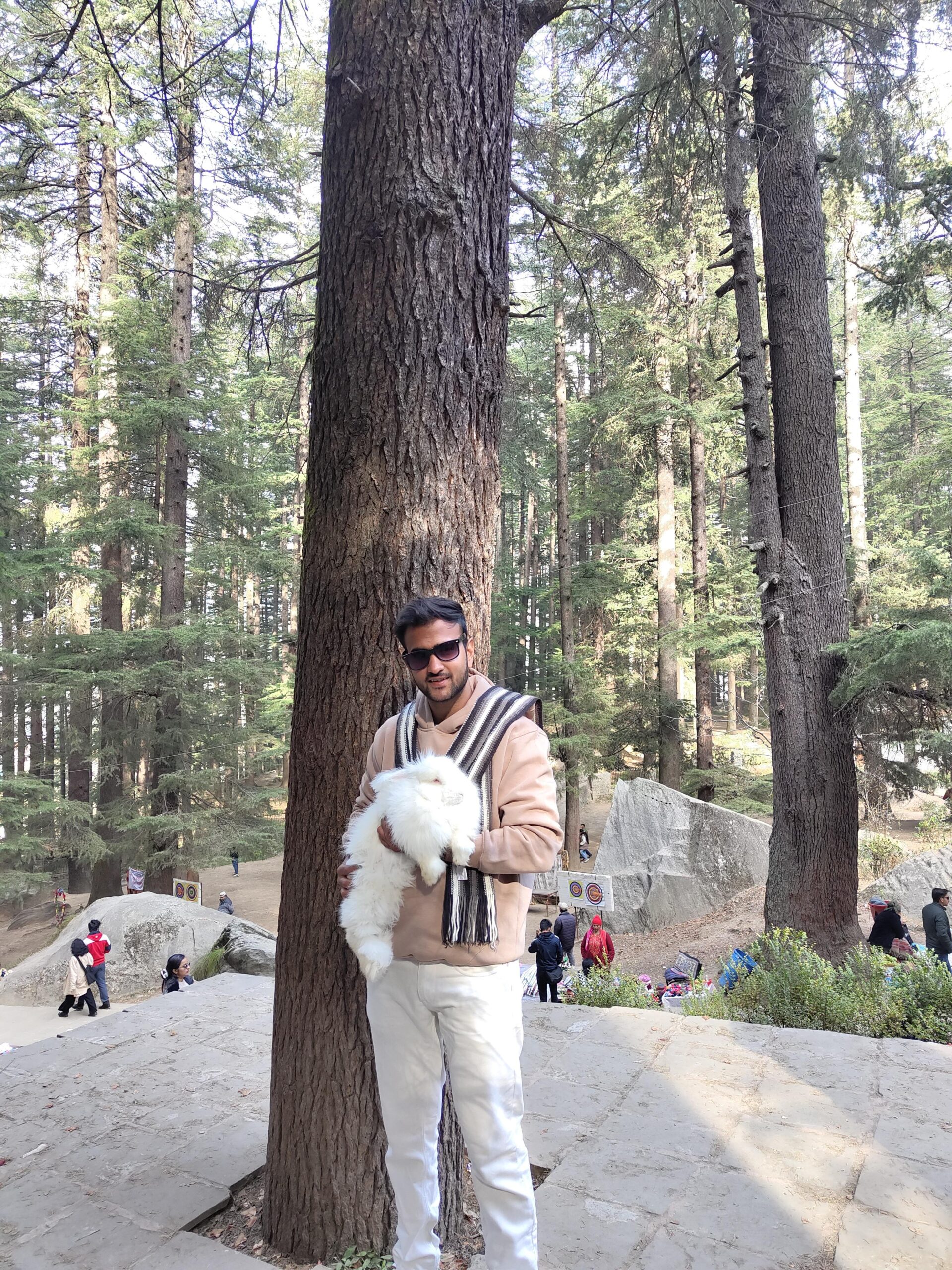 Certified tarot reader rahul prajapati